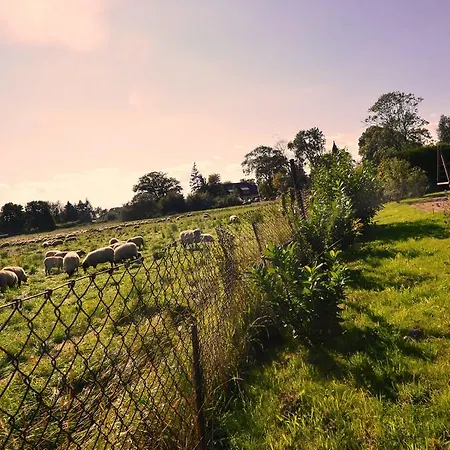 Lägenhet Ferienwohnung-sonnenkamp-in-gross-zicker-halbinsel-moenchgut Groß Zicker