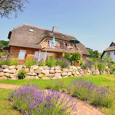 Ferienwohnung-sonnenkamp-in-gross-zicker-halbinsel-moenchgut Lägenhet