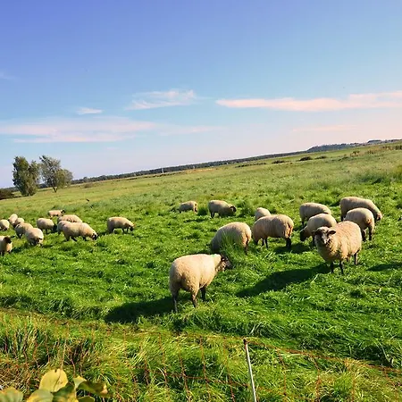 Lägenhet Ferienwohnung-sonnenkamp-in-gross-zicker-halbinsel-moenchgut *