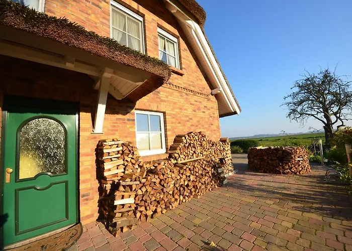 公寓 Ferienwohnung-sonnenkamp-in-gross-zicker-halbinsel-moenchgut *