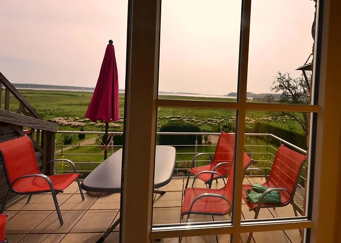 公寓 Ferienwohnung-sonnenkamp-in-gross-zicker-halbinsel-moenchgut Groß Zicker